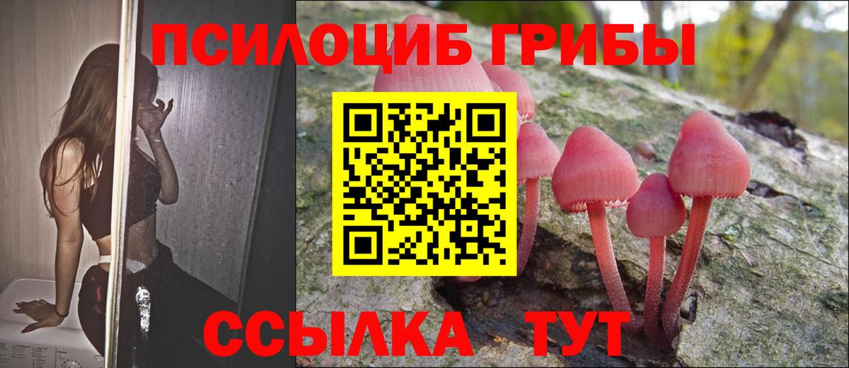Азнакаево  Галлюциногенные грибы Magic Shrooms  Вход с VPN 